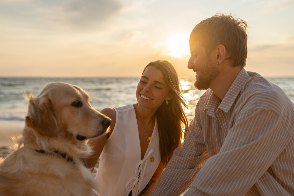 🐾 Pet Summer Safety: Vet-Approved Ways to Keep Pets Healthy in Warm Weather ☀️🐶🐱