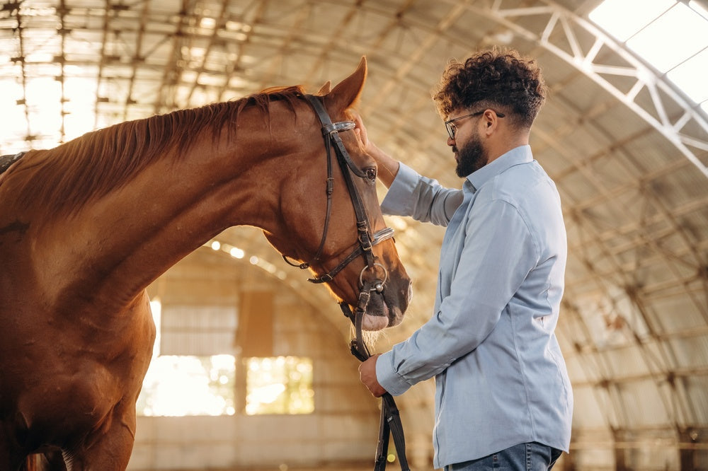 Why Is My Horse Wobbly? Neurological Signs, EPM, Wobblers and EHV
