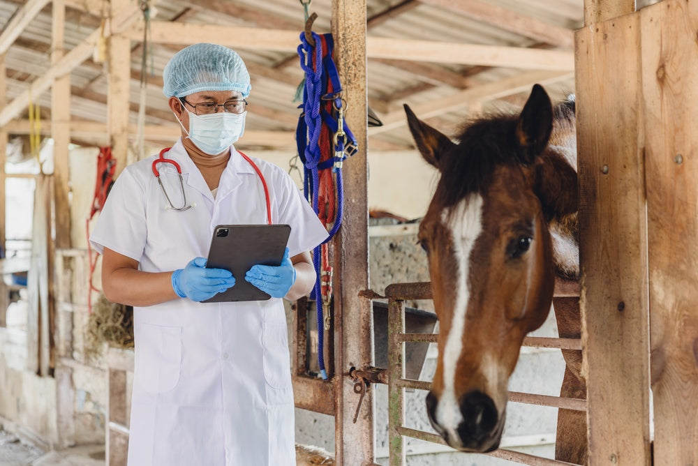 Herpes Virus Vaccination in Horses