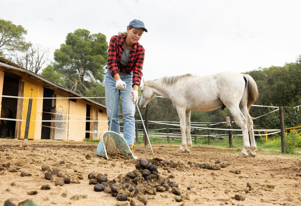 Smart Manure Handling for Horse Farms: How to Turn Waste into a Resource