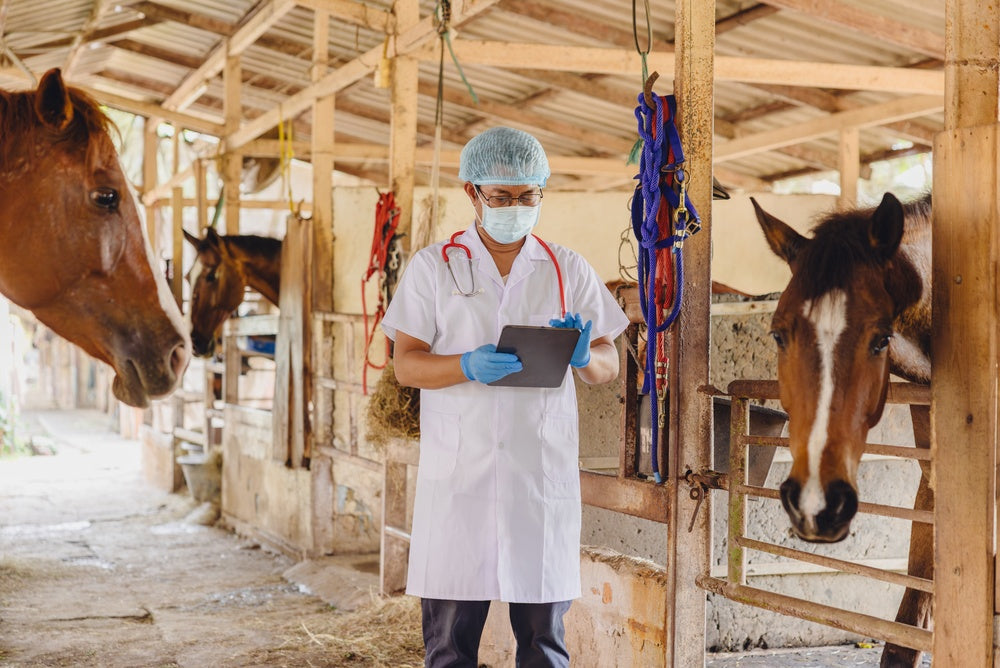 Temperature-Reading Microchips in Horses