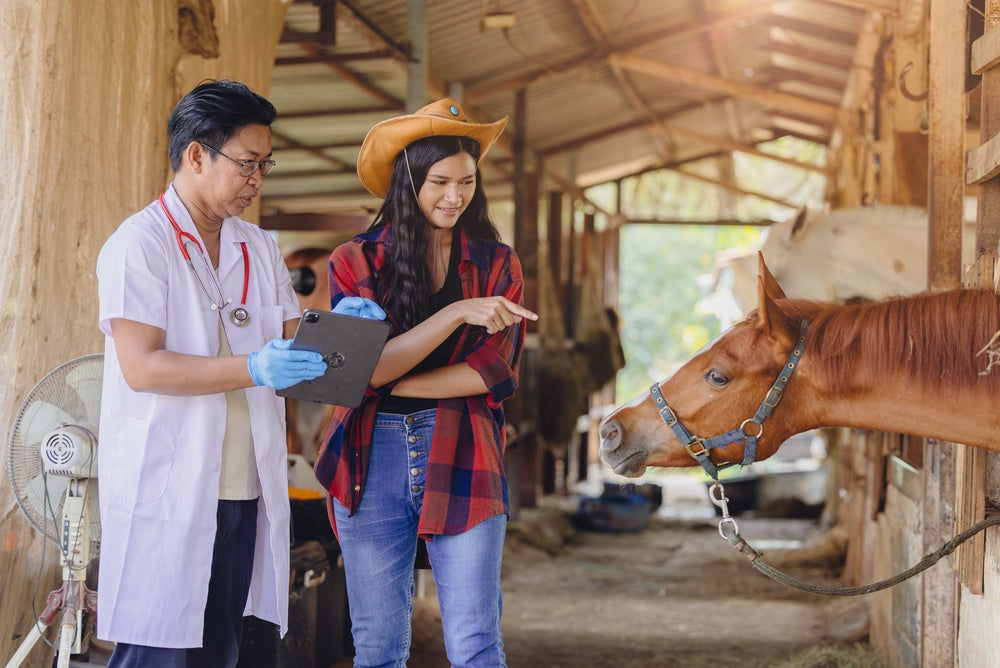 Risks of Rectal Palpation in Horses