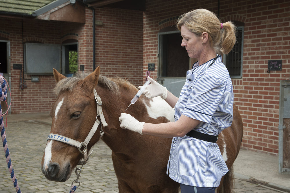 Influenza Vaccination in Horses