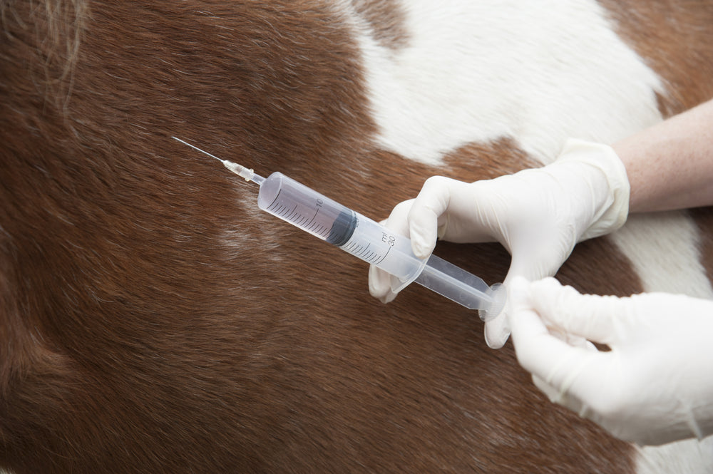 How to Dispose of Needles on a Horse Farm Safely