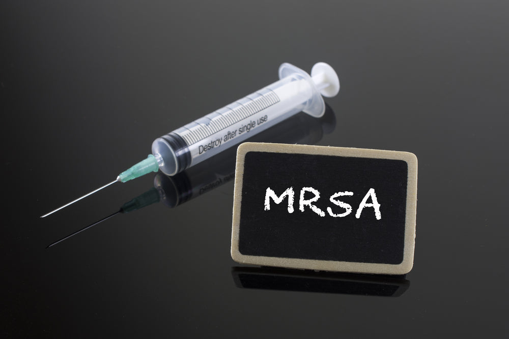 MRSA vs MRSP in Pets: What Owners Need to Know