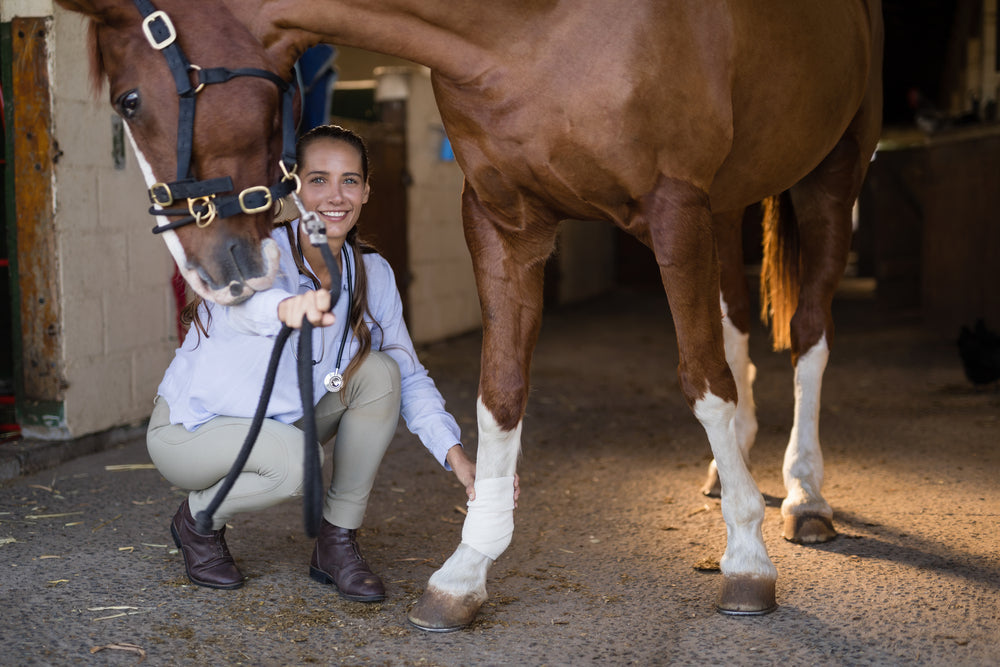 Impaction Colic in Horses: Signs, Treatment, and Prevention