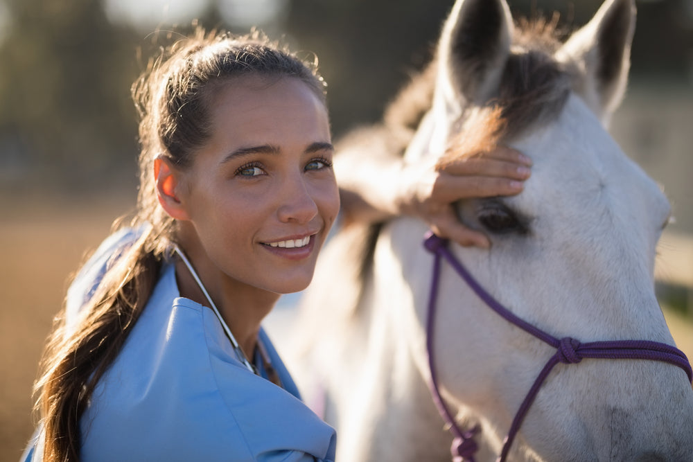 Horse Pre-Purchase Exams