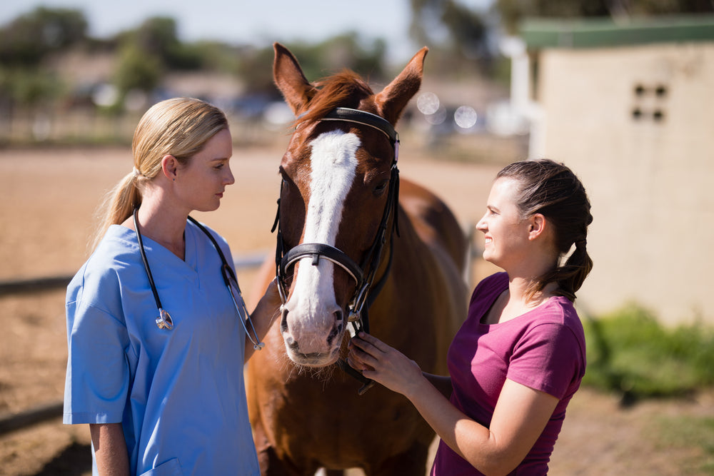 Hyperinsulinemia in Horses: Signs, Testing, Treatment, and Laminitis Risk