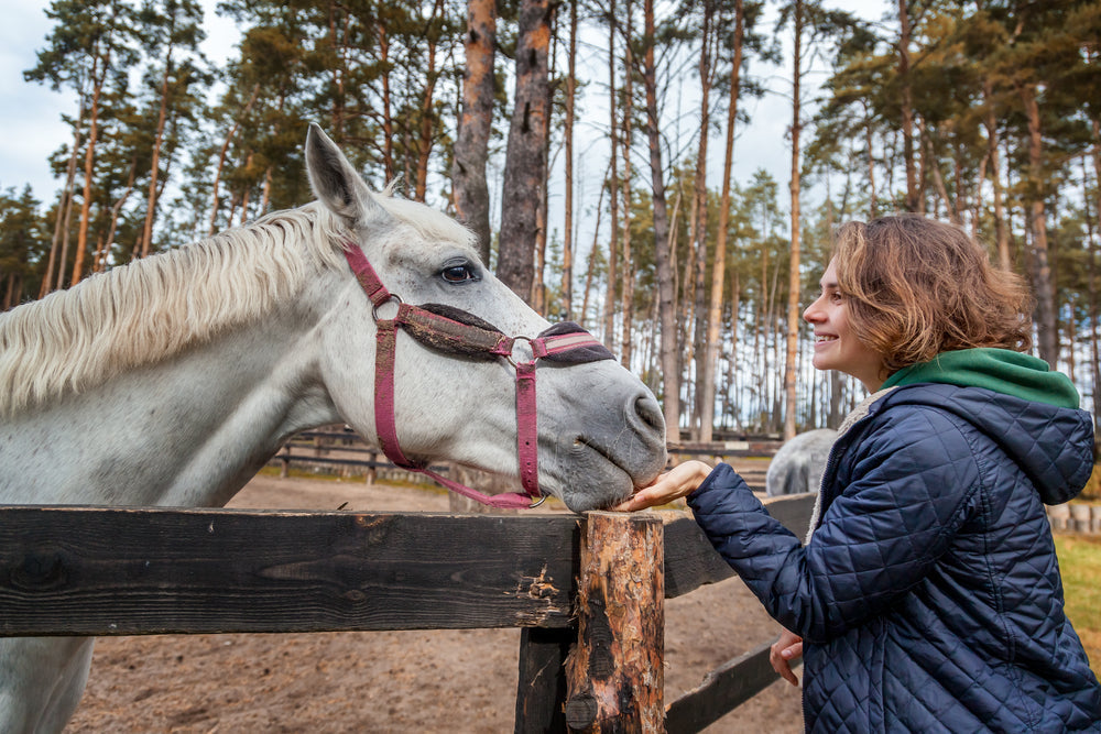 How To Prevent Founder in Horses