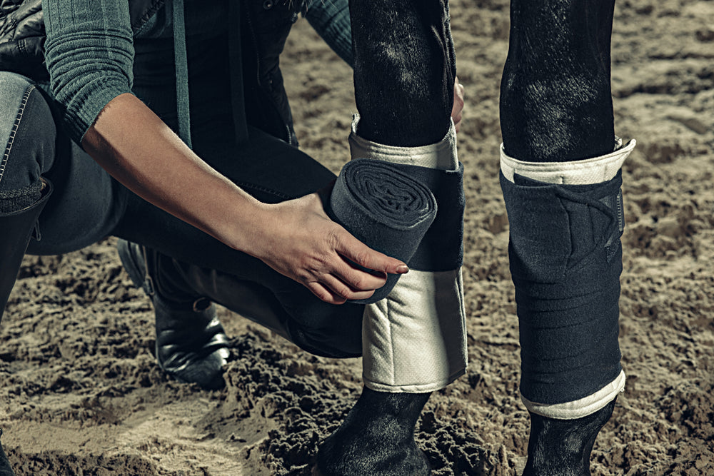 Foot Injuries in Horses