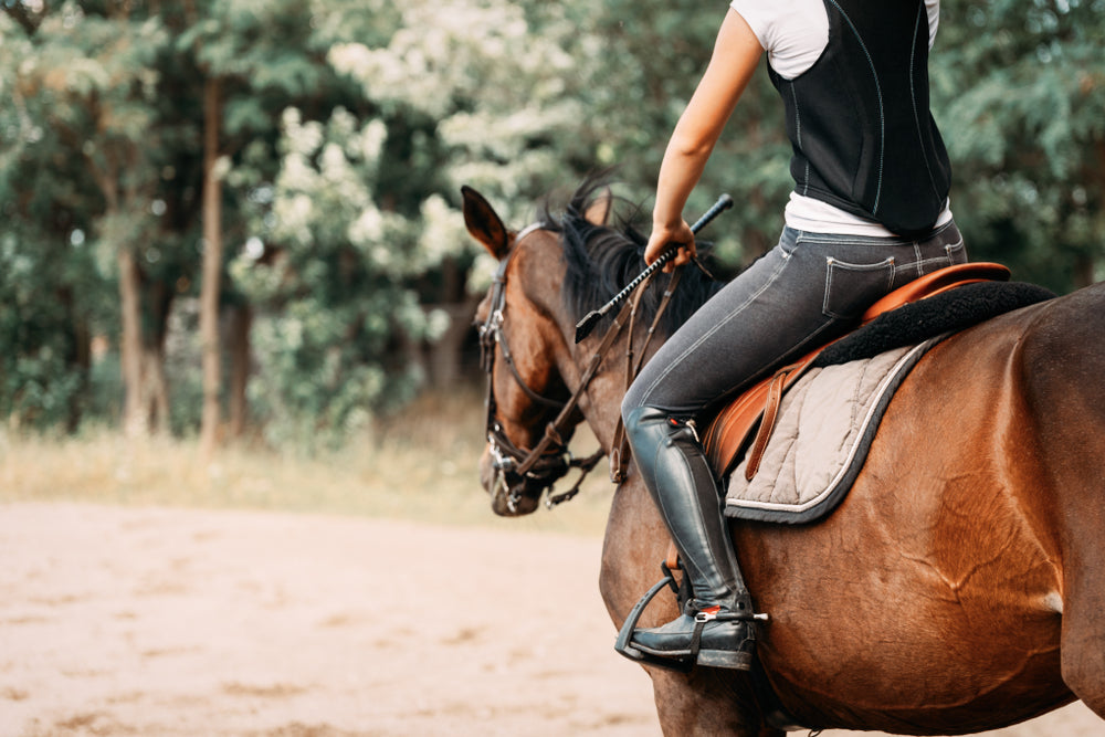 Complications After Horse Castration: What Is Normal and When To Call the Vet