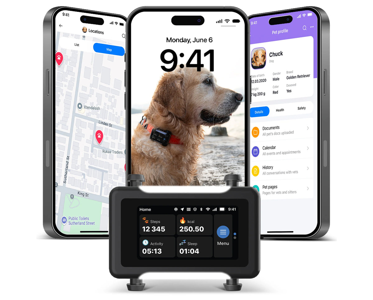 ASK A VET smart ID tag, GPS tracker and connected pet health app