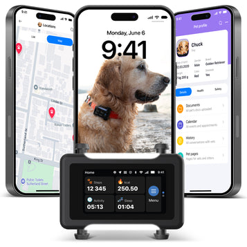高端 GPS、健康和训练追踪器
