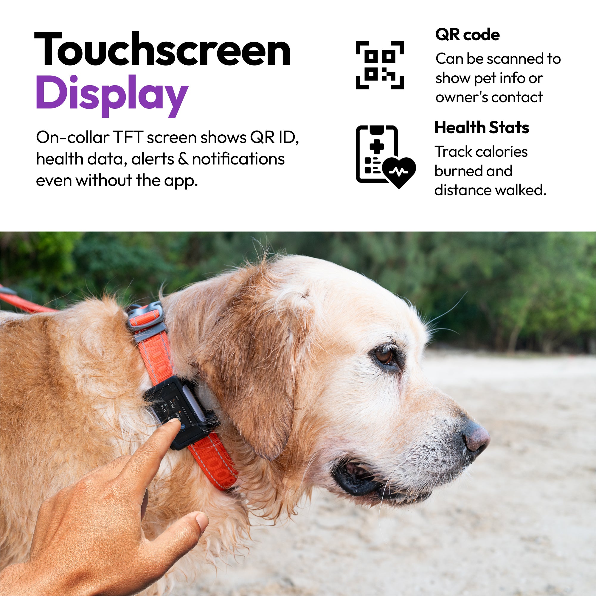 ASK A VET Premium GPS- und Gesundheits-Tracker Halsband fr Haustiere Ask A Vet ASK A VET Premium GPS- und Gesundheits-Tracker Halsband fr Haustiere Ask A Vet