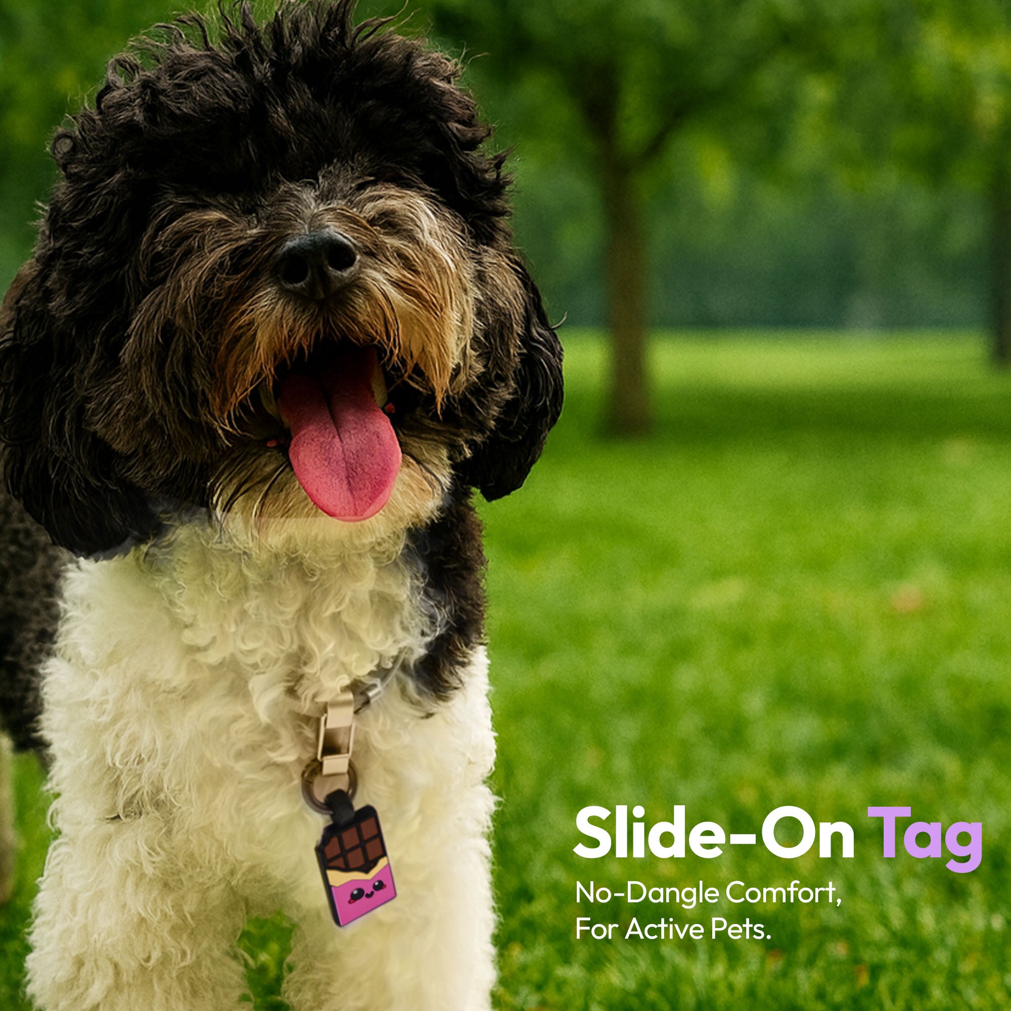 ASK A VET Chocolate Bar Pet ID Tag – Pink & Purple Styles – Ask A Vet