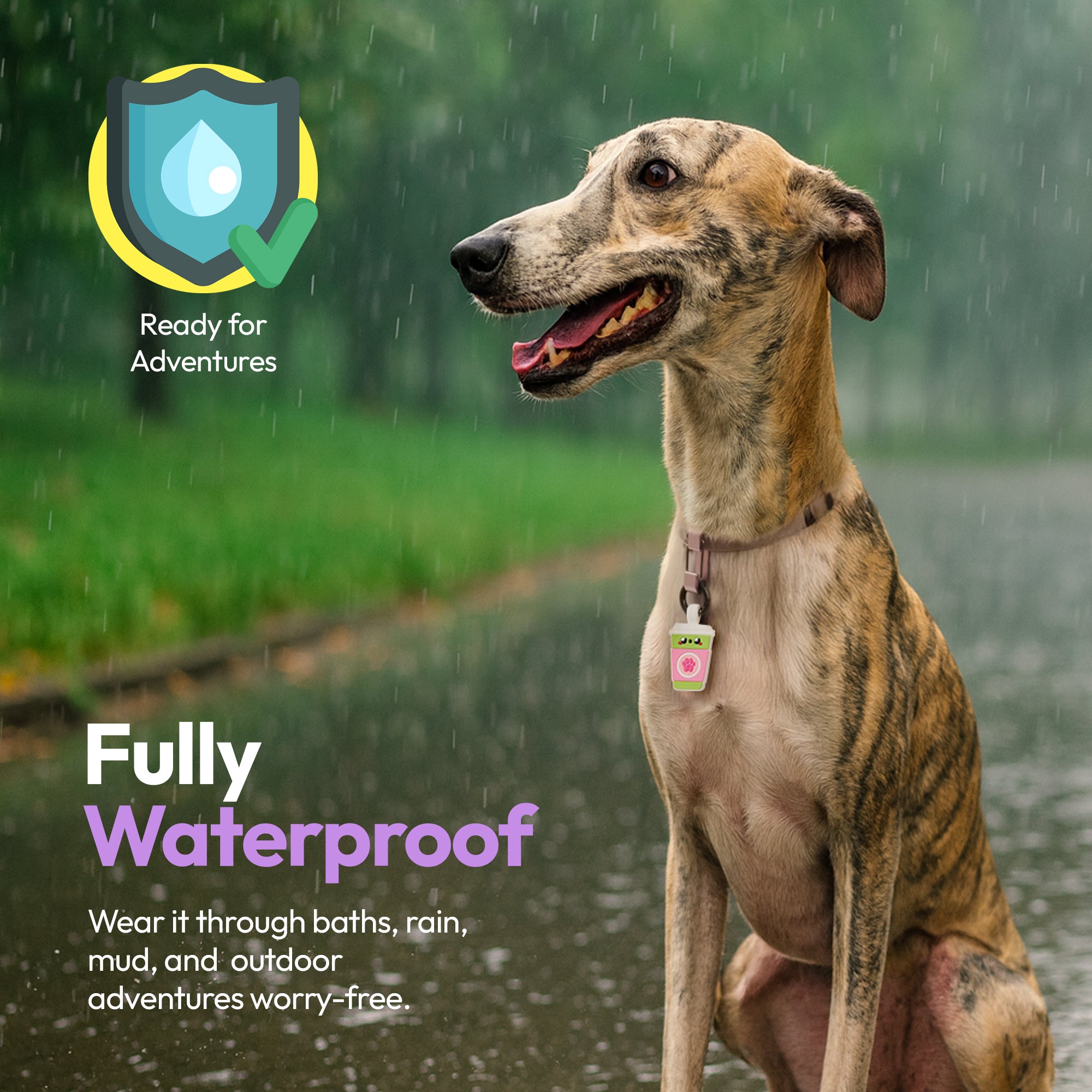 Sakura Matcha ID Tag